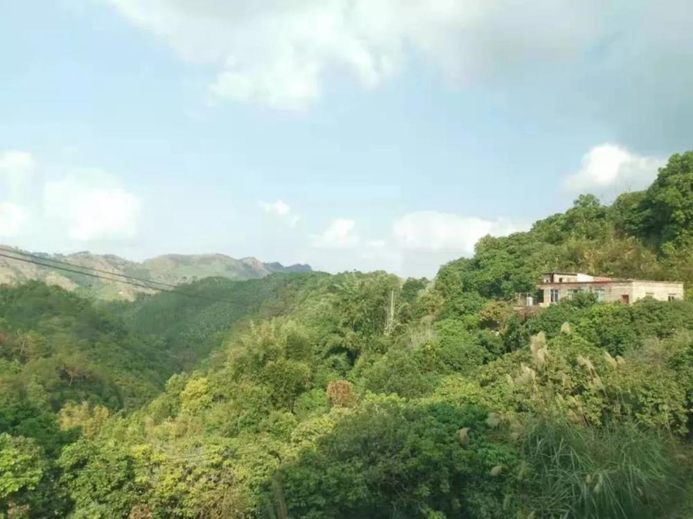 5a88730f8e3046aea96e61f6509fcc90.jpg 5a88730f8e3046aea96e61f6509fcc90.jpg