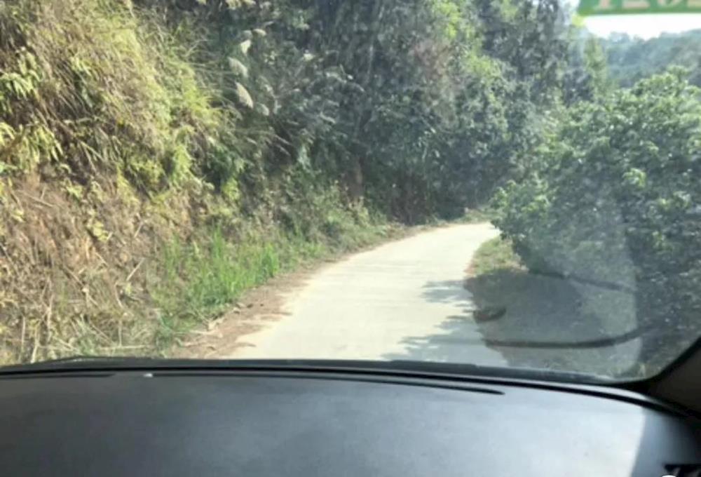 783c2c5adbd247e5a4b59647da68ee5e.jpg 783c2c5adbd247e5a4b59647da68ee5e.jpg