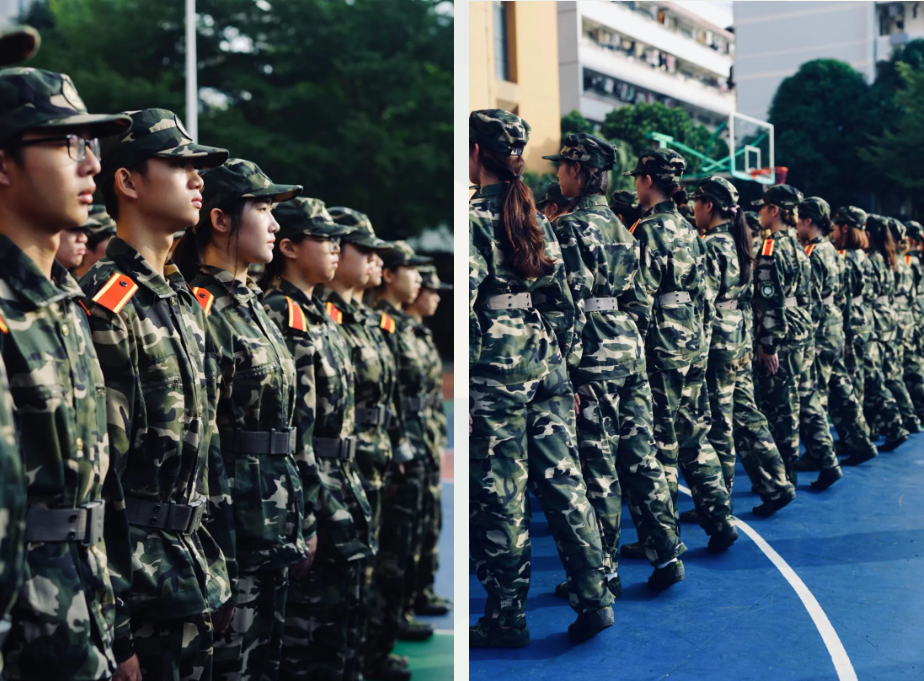 29b91a79a531410cb99767230ba9edde.png 29b91a79a531410cb99767230ba9edde.png